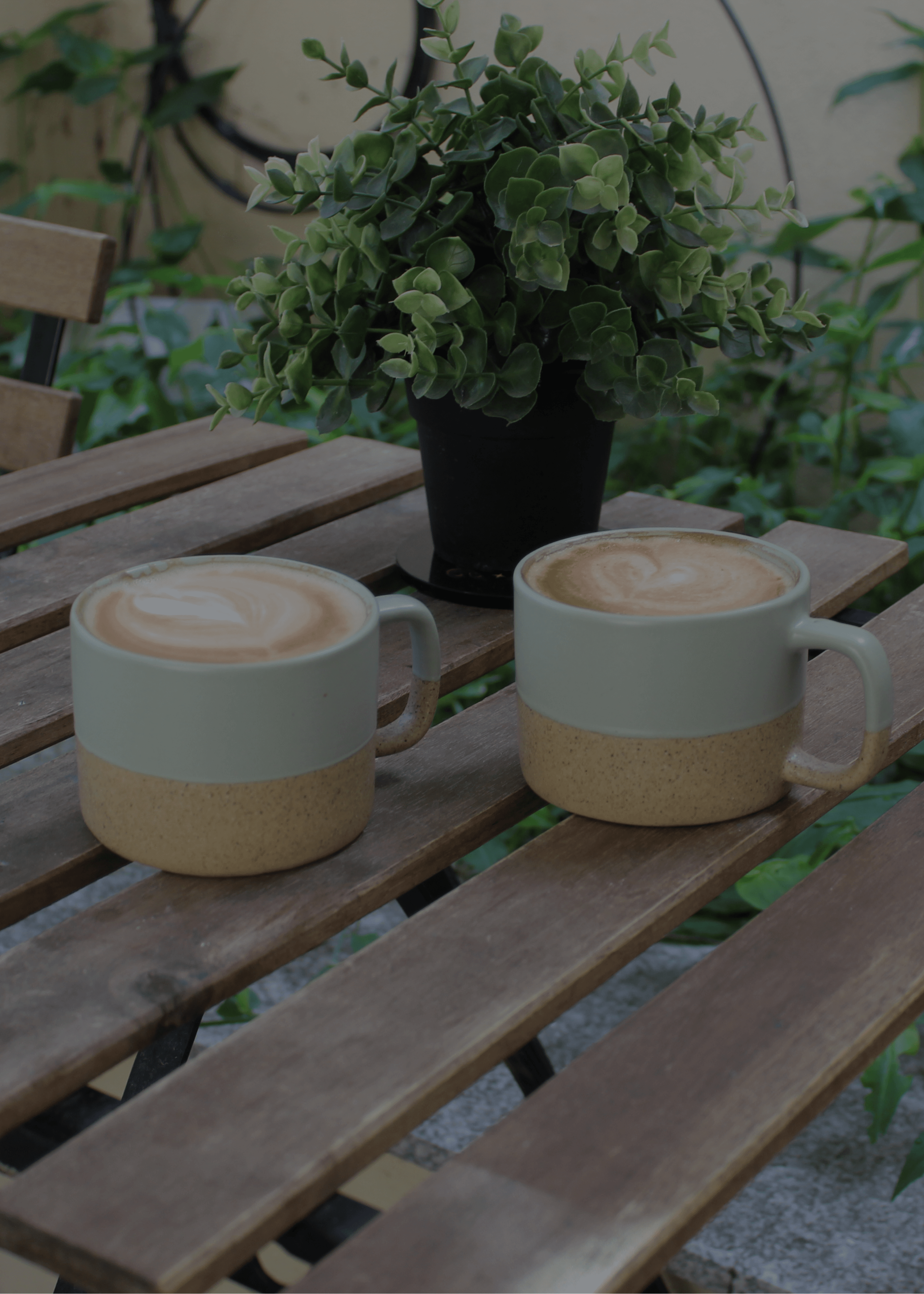 Cafea